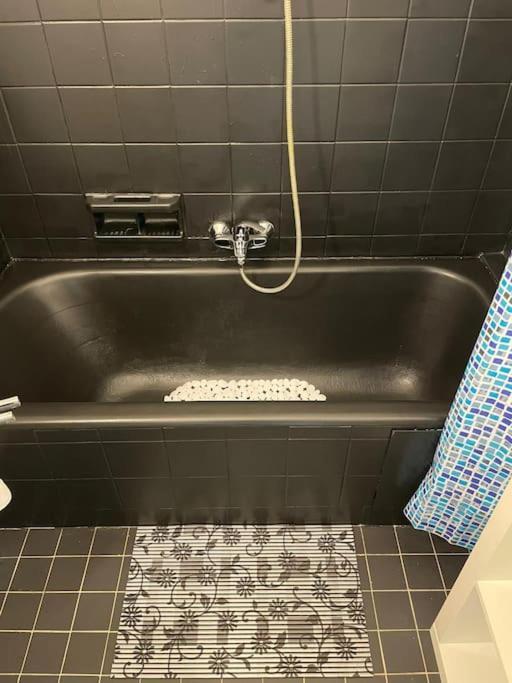 Spacious Apartment Next To Parc Du Cinquantenaire Βρυξέλλες Εξωτερικό φωτογραφία