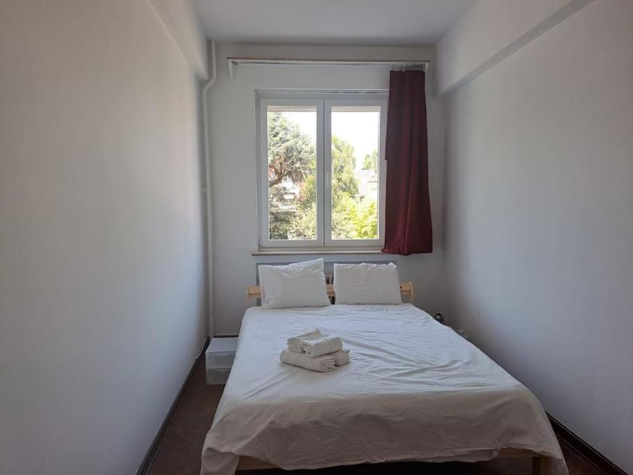 Spacious Apartment Next To Parc Du Cinquantenaire Βρυξέλλες Εξωτερικό φωτογραφία